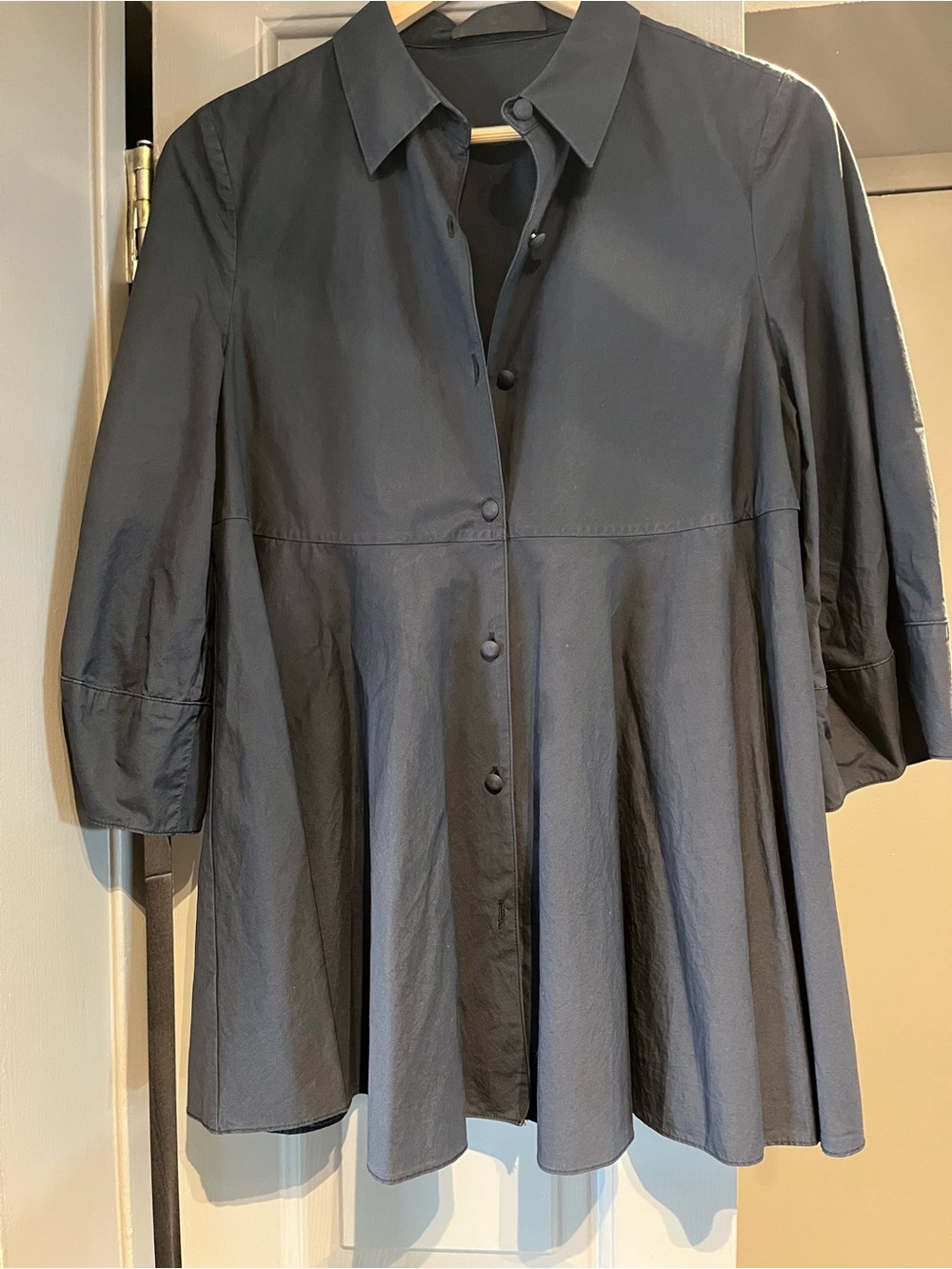 CO Black Button-Front Pleated Flared Shirt - Picture 3 of 4